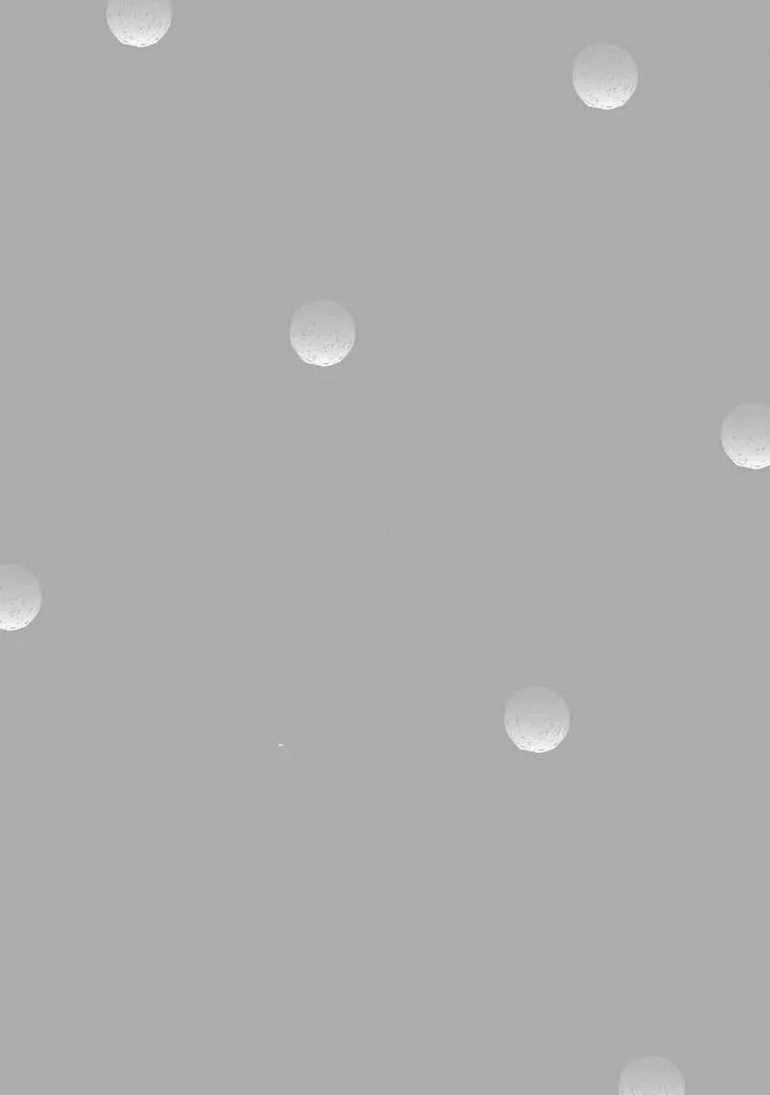 Ghi Nhớ Nụ Hôn Của Tôi Chapter 2 Trang 23