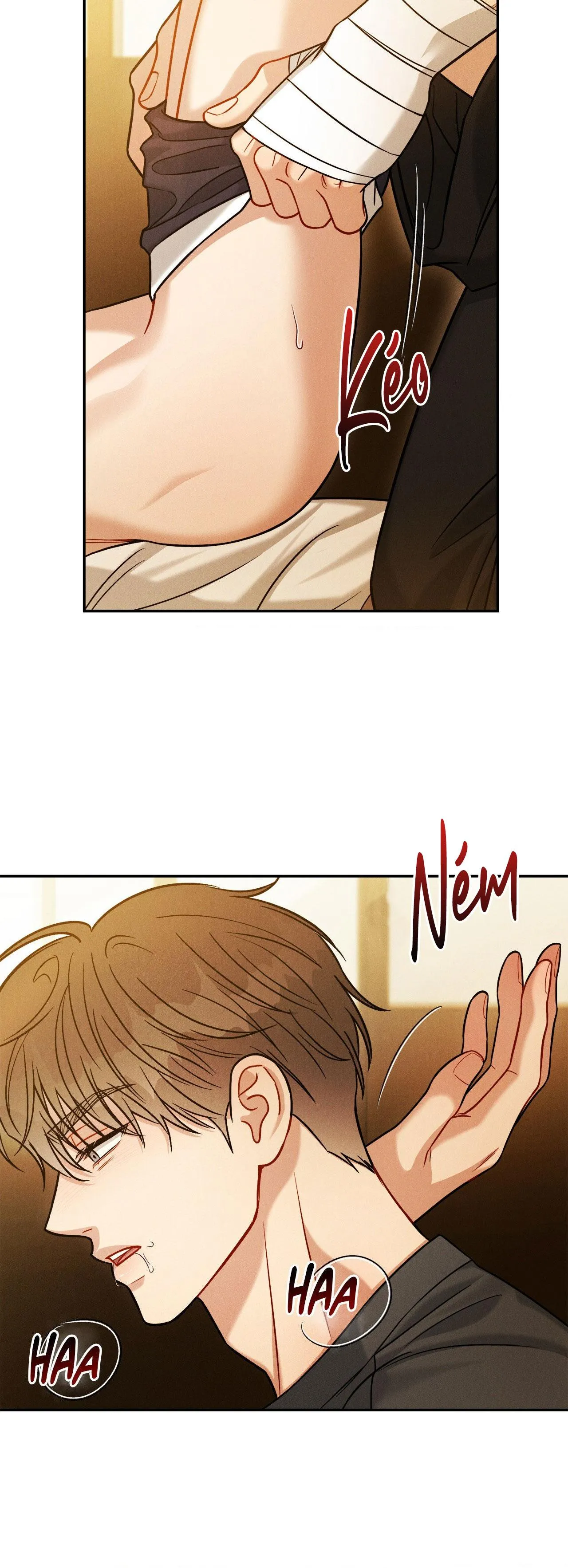 GIẢ DƯỢC Chapter 52 Trang 32