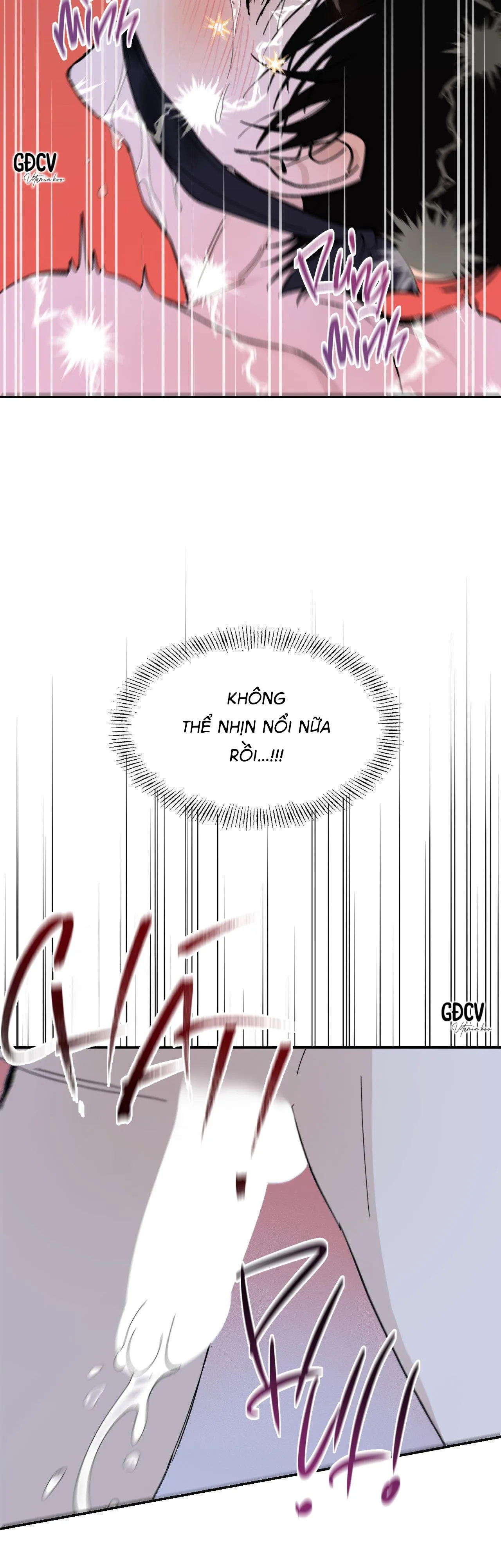 GIA NHÂN Chapter 12 Trang 11