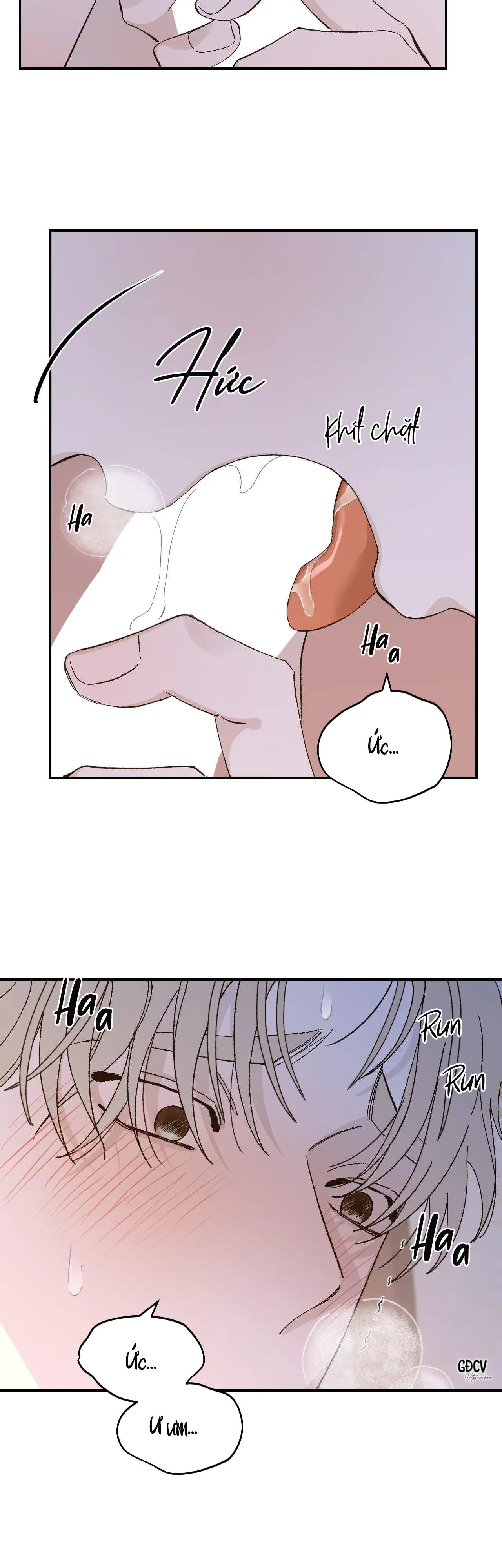 GIA NHÂN Chapter 19 Trang 9