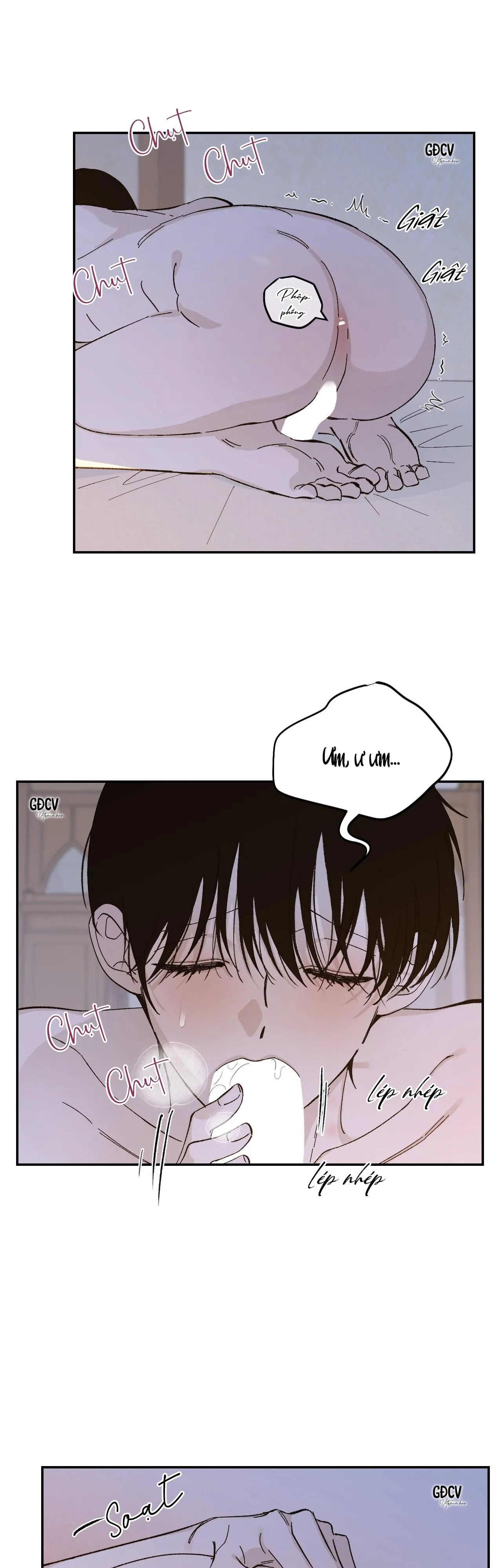 GIA NHÂN Chapter 19 Trang 11