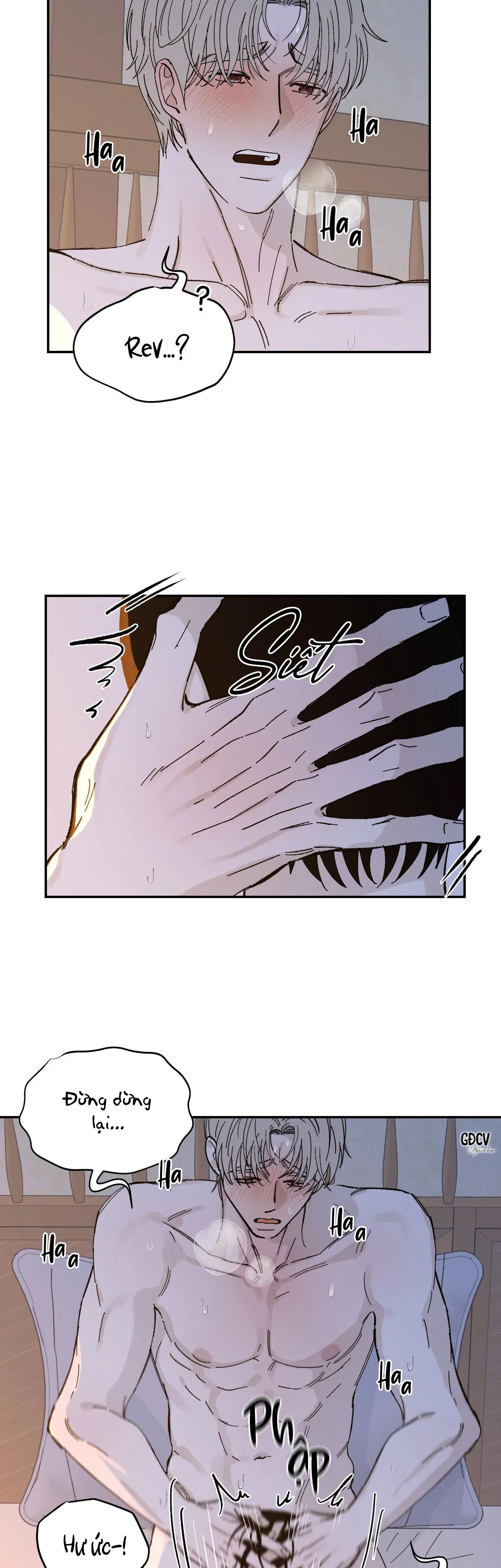 GIA NHÂN Chapter 19 Trang 15