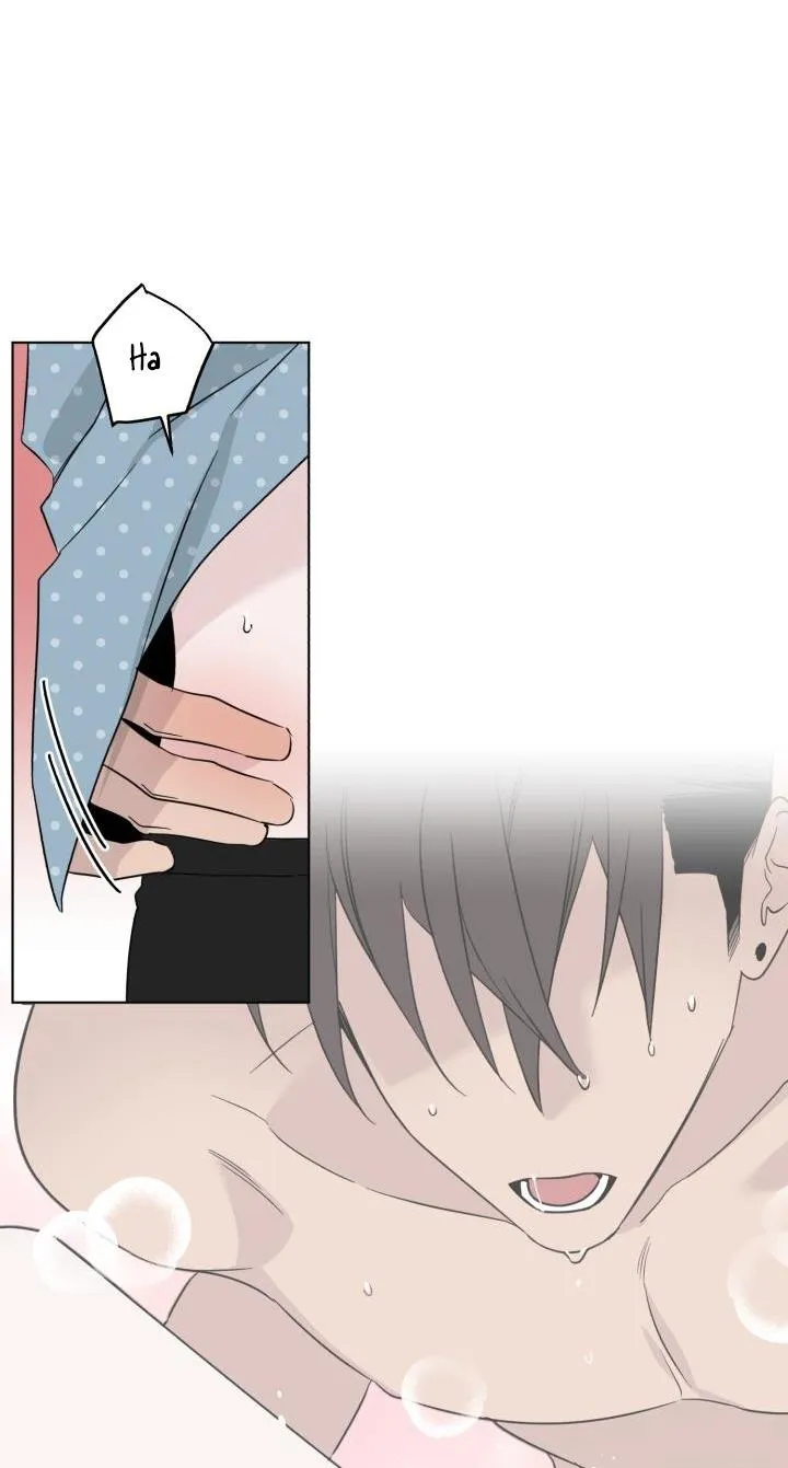 Giai điệu của bạn, tiếng lòng của tôi Chapter 15 Trang 39