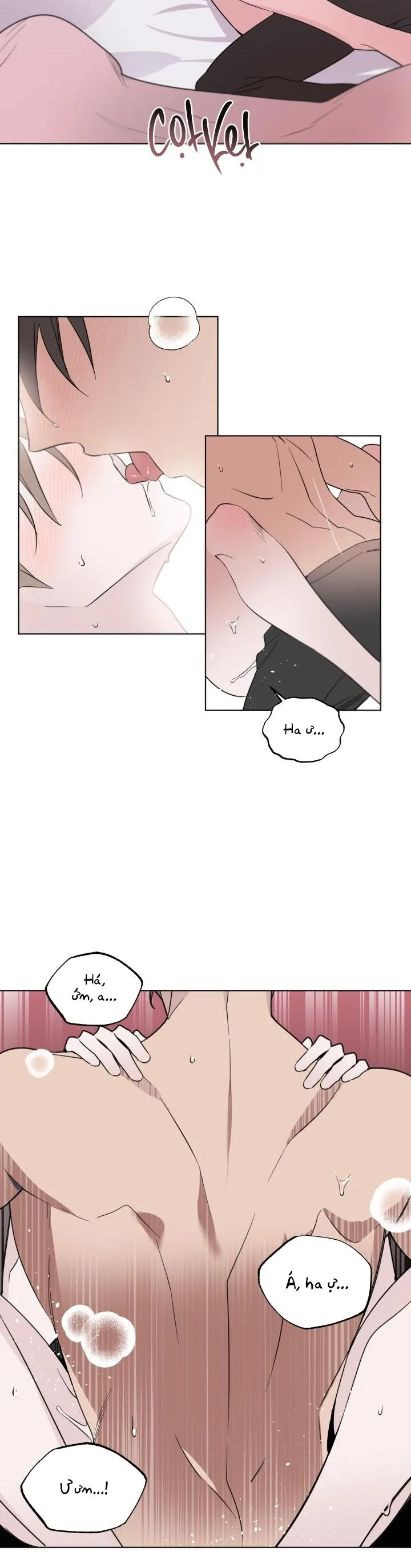 Giai điệu của bạn, tiếng lòng của tôi Chapter 0 Trang 17