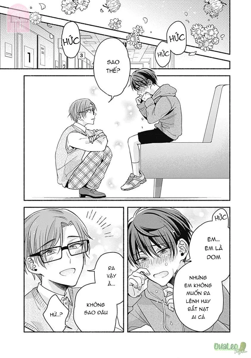 Giám đốc, đến lúc quỳ xuống rồi Chapter 4 Trang 19