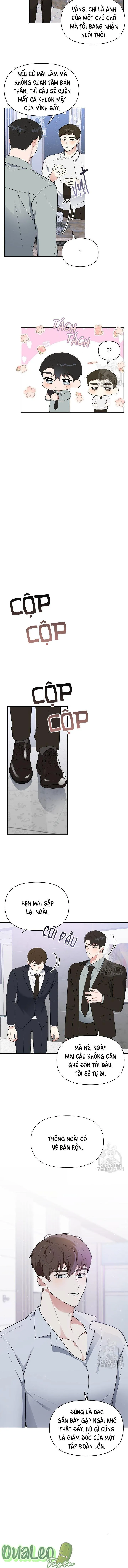 Giám Đốc Háo Sắc Của Tôi Chapter 4 Trang 15