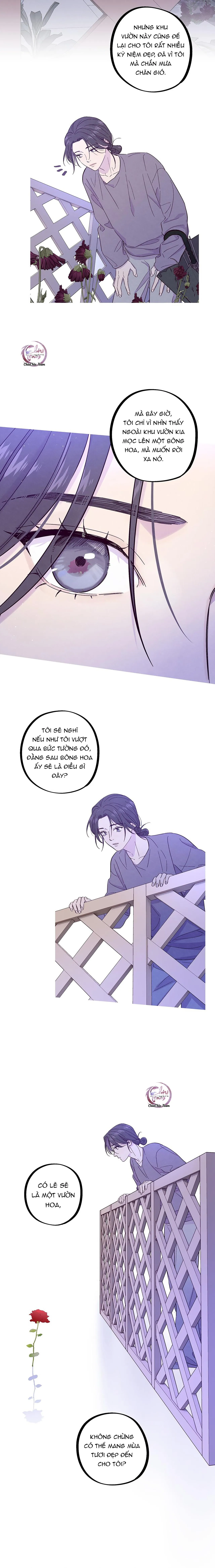 Giăng Bẫy Bác Sĩ Hồ Ly Chapter 28 Trang 3