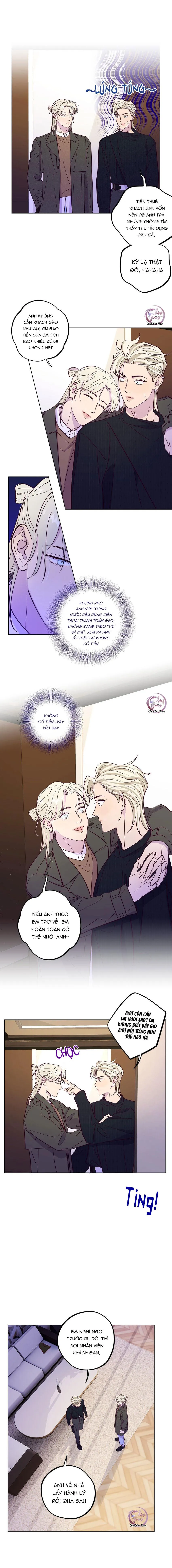 Giăng Bẫy Bác Sĩ Hồ Ly Chapter 42 Trang 6