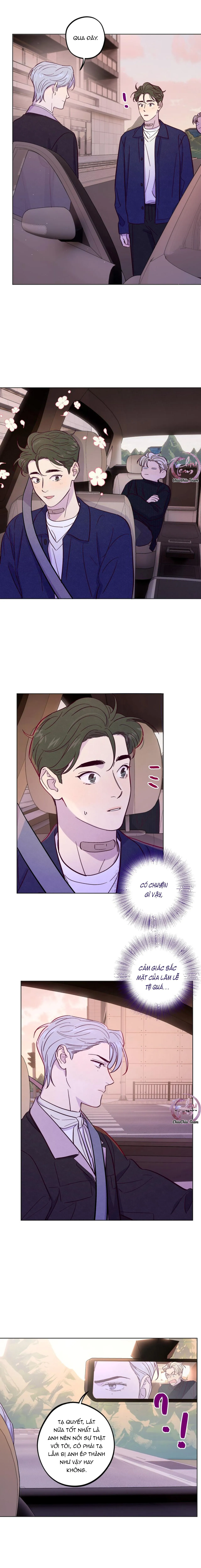 Giăng Bẫy Bác Sĩ Hồ Ly Chapter 43 Trang 5