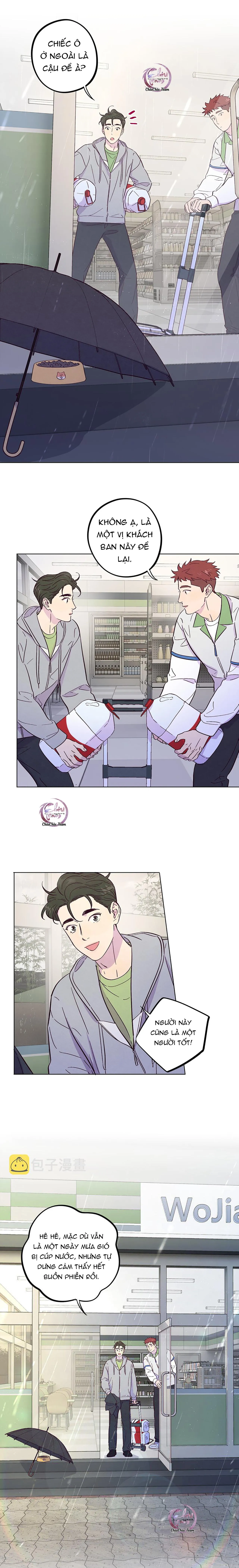 Giăng Bẫy Bác Sĩ Hồ Ly Chapter 50 Trang 4