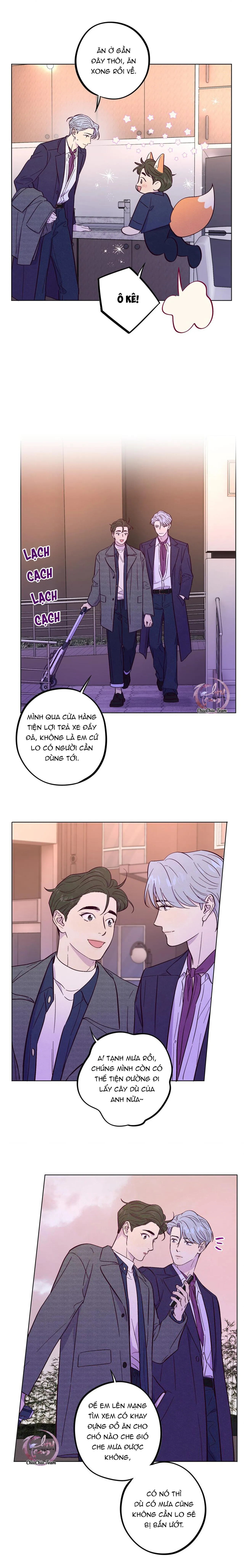 Giăng Bẫy Bác Sĩ Hồ Ly Chapter 52 Trang 5