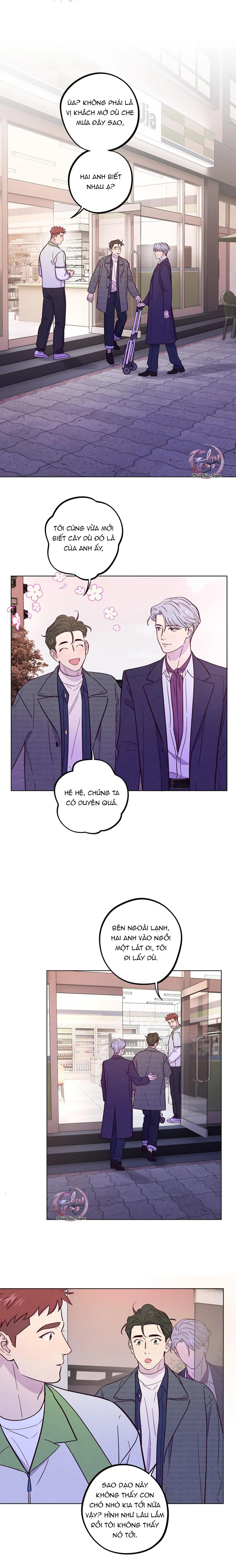 Giăng Bẫy Bác Sĩ Hồ Ly Chapter 52 Trang 9