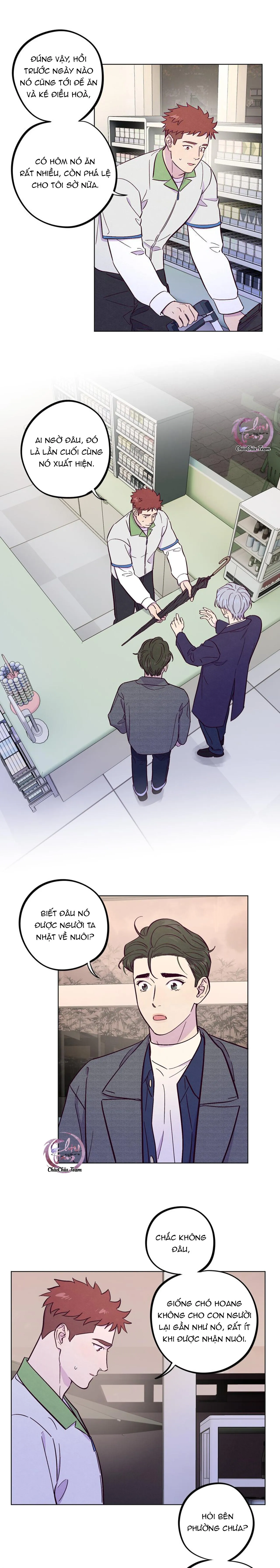 Giăng Bẫy Bác Sĩ Hồ Ly Chapter 52 Trang 10