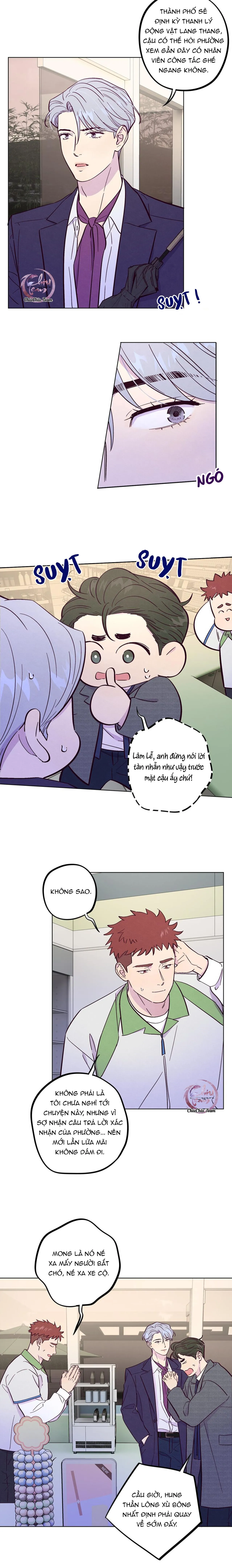 Giăng Bẫy Bác Sĩ Hồ Ly Chapter 52 Trang 11