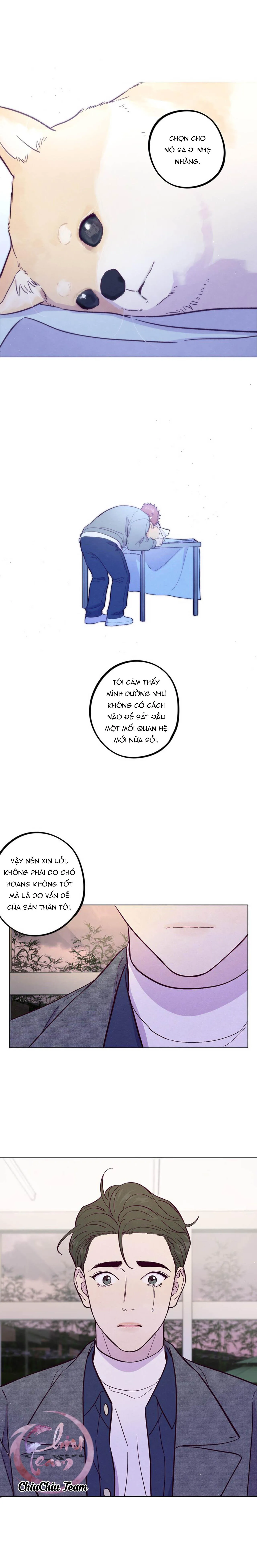 Giăng Bẫy Bác Sĩ Hồ Ly Chapter 53 Trang 4