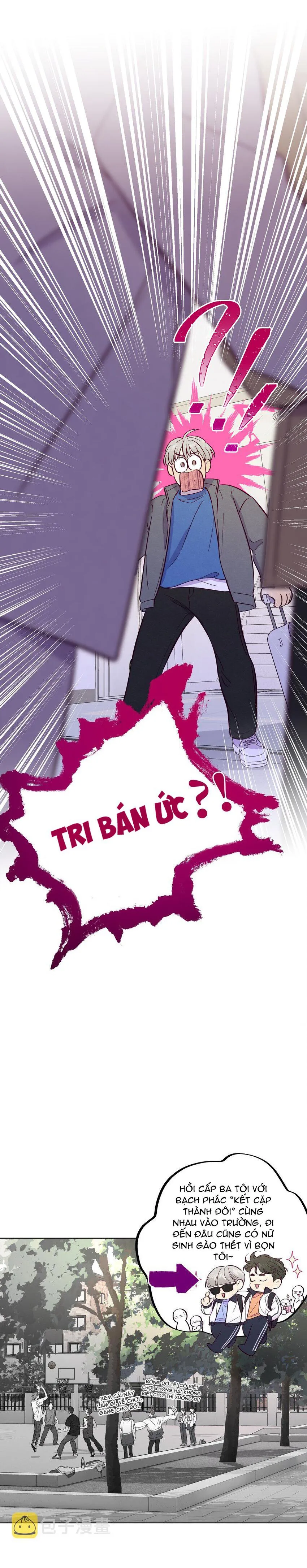 Giăng Bẫy Bác Sĩ Hồ Ly Chapter 60 Trang 19