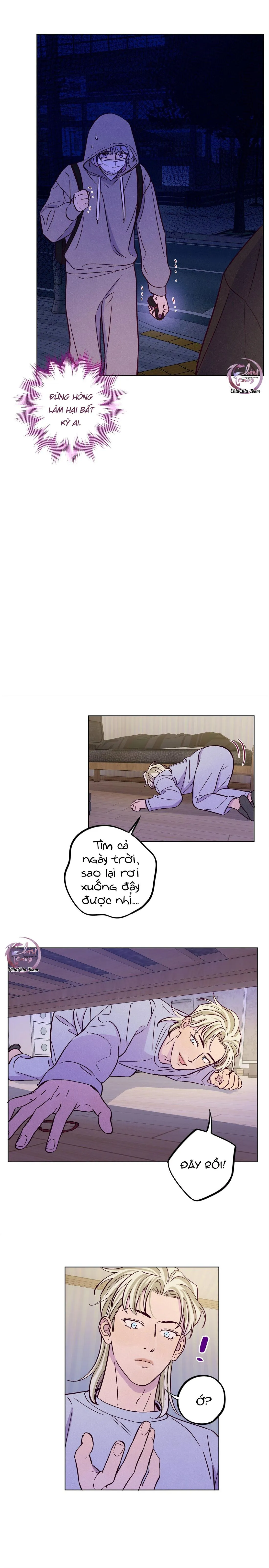 Giăng Bẫy Bác Sĩ Hồ Ly Chapter 81 Trang 12