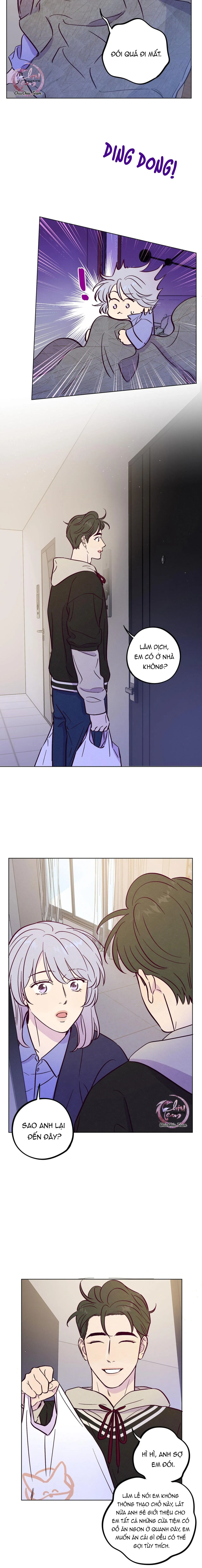 Giăng Bẫy Bác Sĩ Hồ Ly Chapter 83 Trang 3