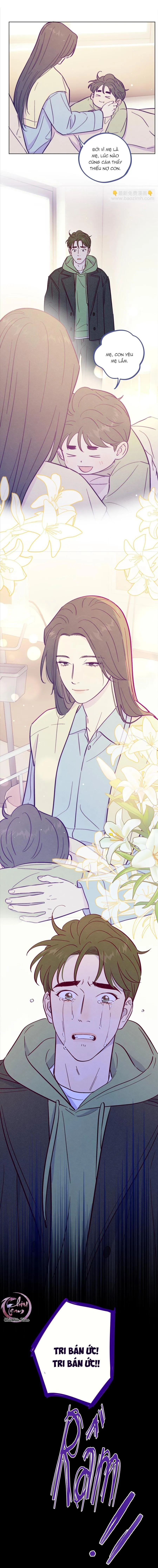 Giăng Bẫy Bác Sĩ Hồ Ly Chapter 116 Trang 11
