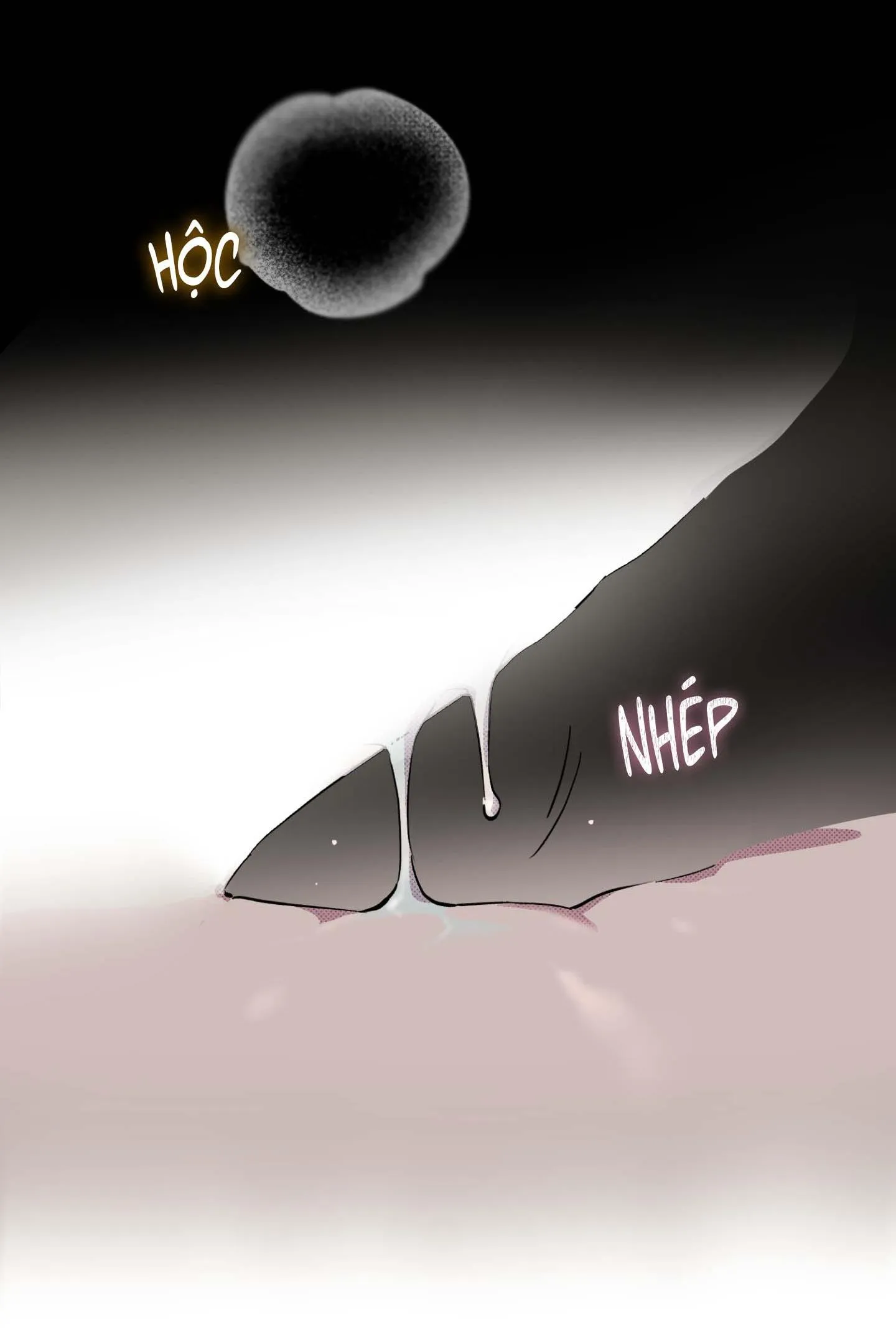 GIÀNH QUYỀN KIỂM SOÁT Chapter 5 Trang 3