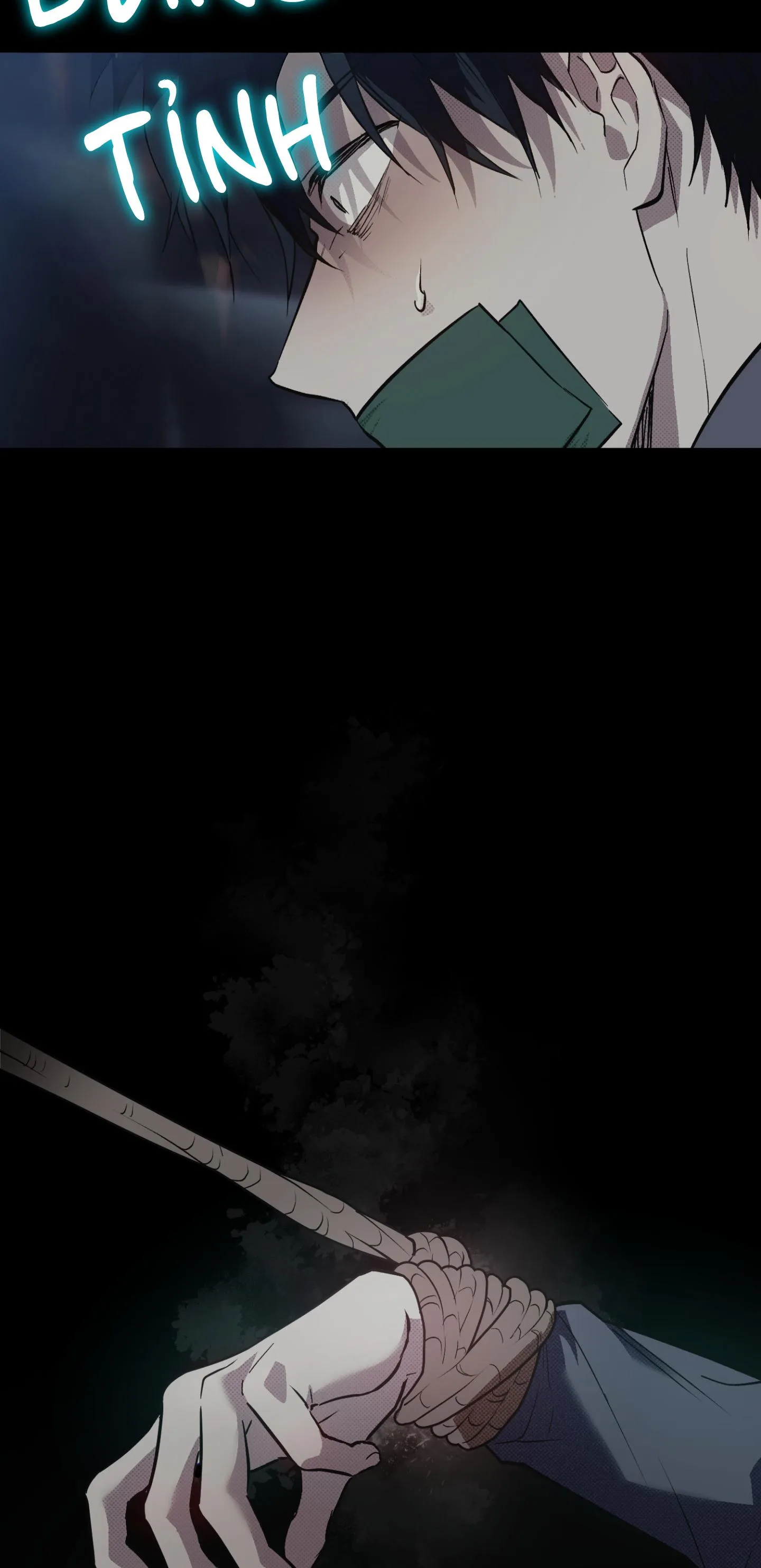 GIÀNH QUYỀN KIỂM SOÁT Chapter 8 Trang 4