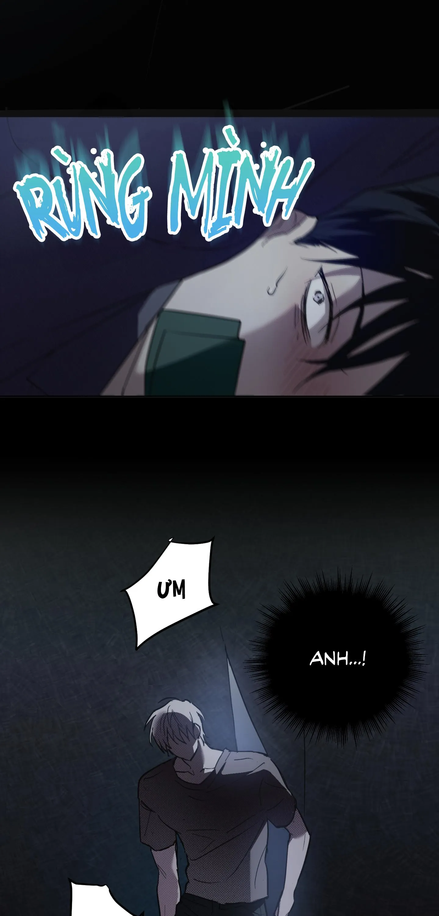 GIÀNH QUYỀN KIỂM SOÁT Chapter 8 Trang 20