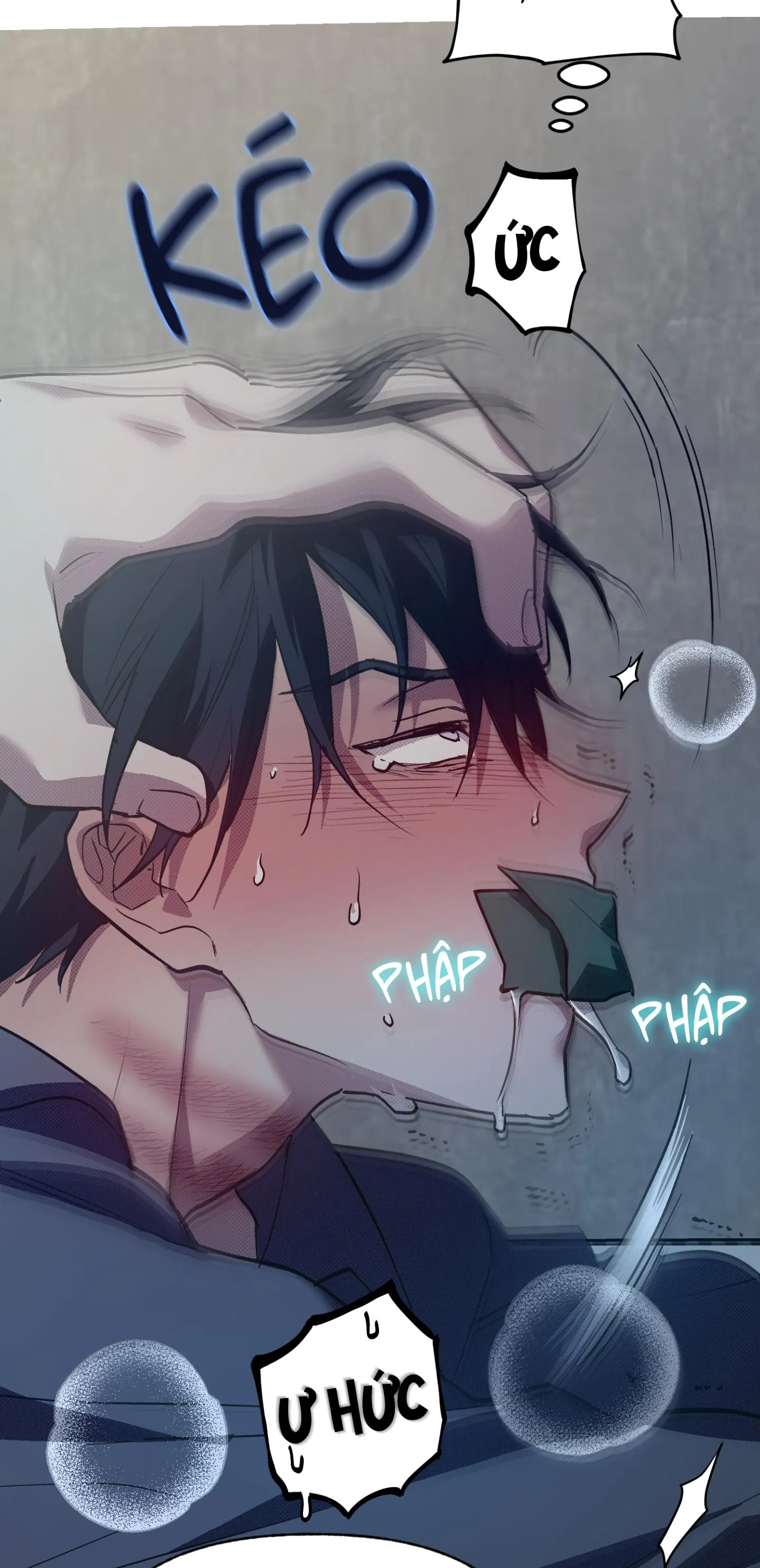 GIÀNH QUYỀN KIỂM SOÁT Chapter 8 Trang 51