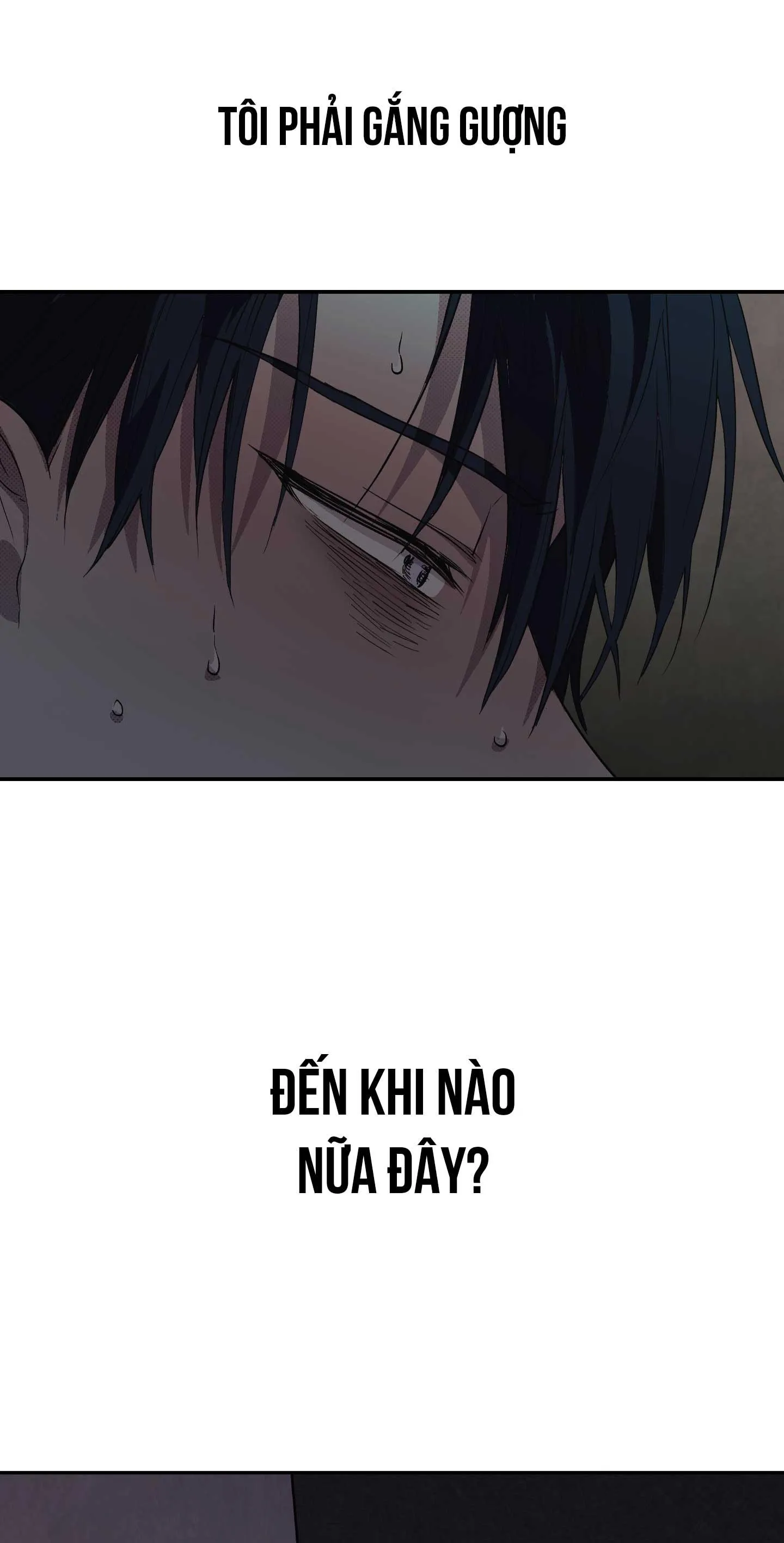 GIÀNH QUYỀN KIỂM SOÁT Chapter 13 Trang 19