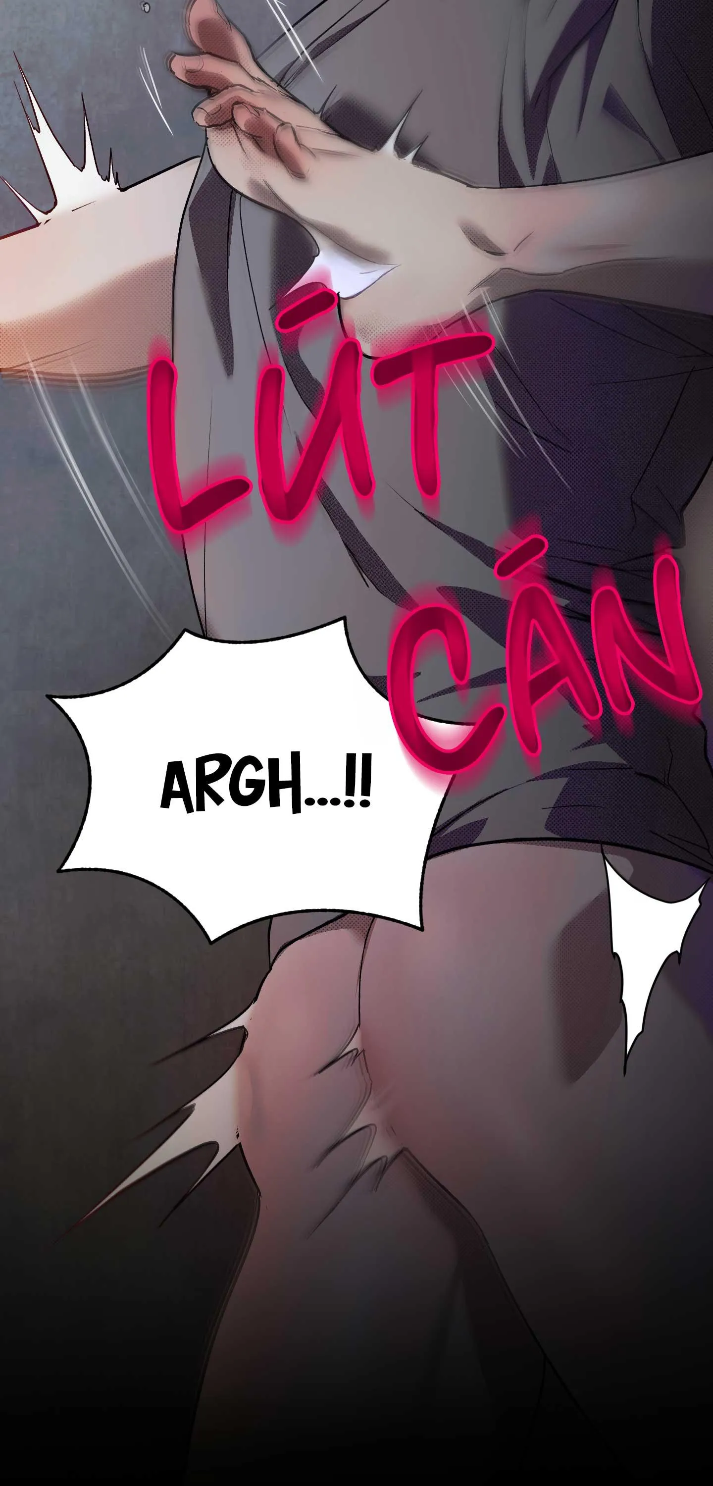 GIÀNH QUYỀN KIỂM SOÁT Chapter 15 Trang 51