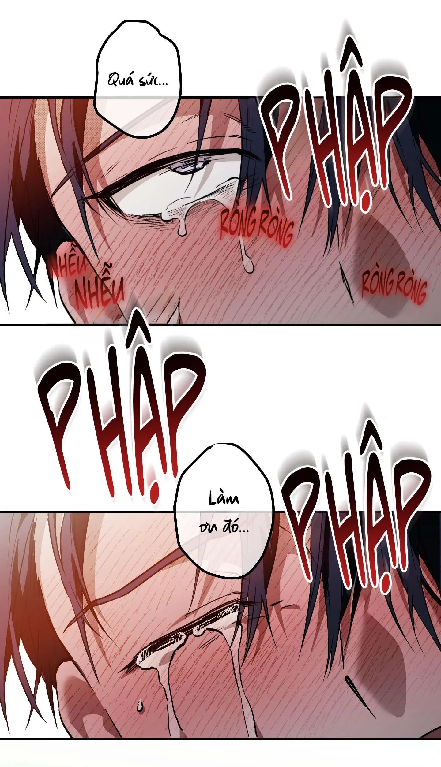 GIÀNH QUYỀN KIỂM SOÁT Chapter 16 Trang 26