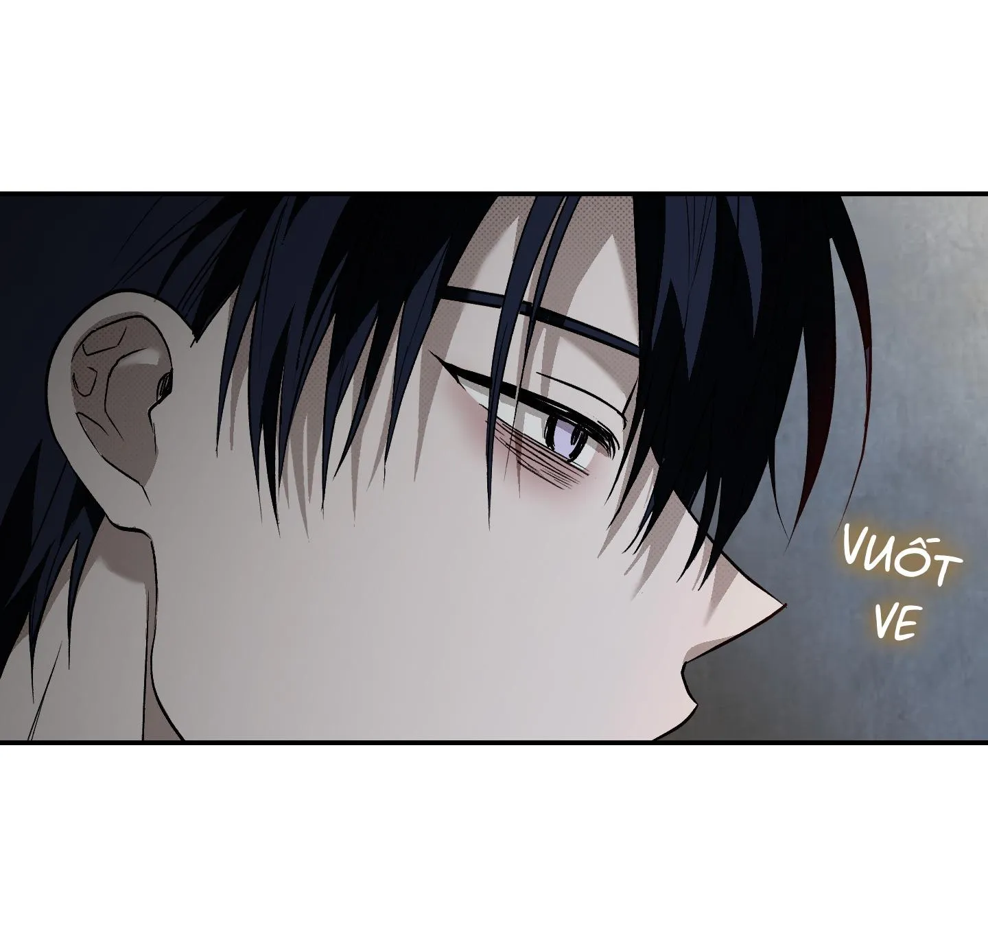 GIÀNH QUYỀN KIỂM SOÁT Chapter 17 Trang 19