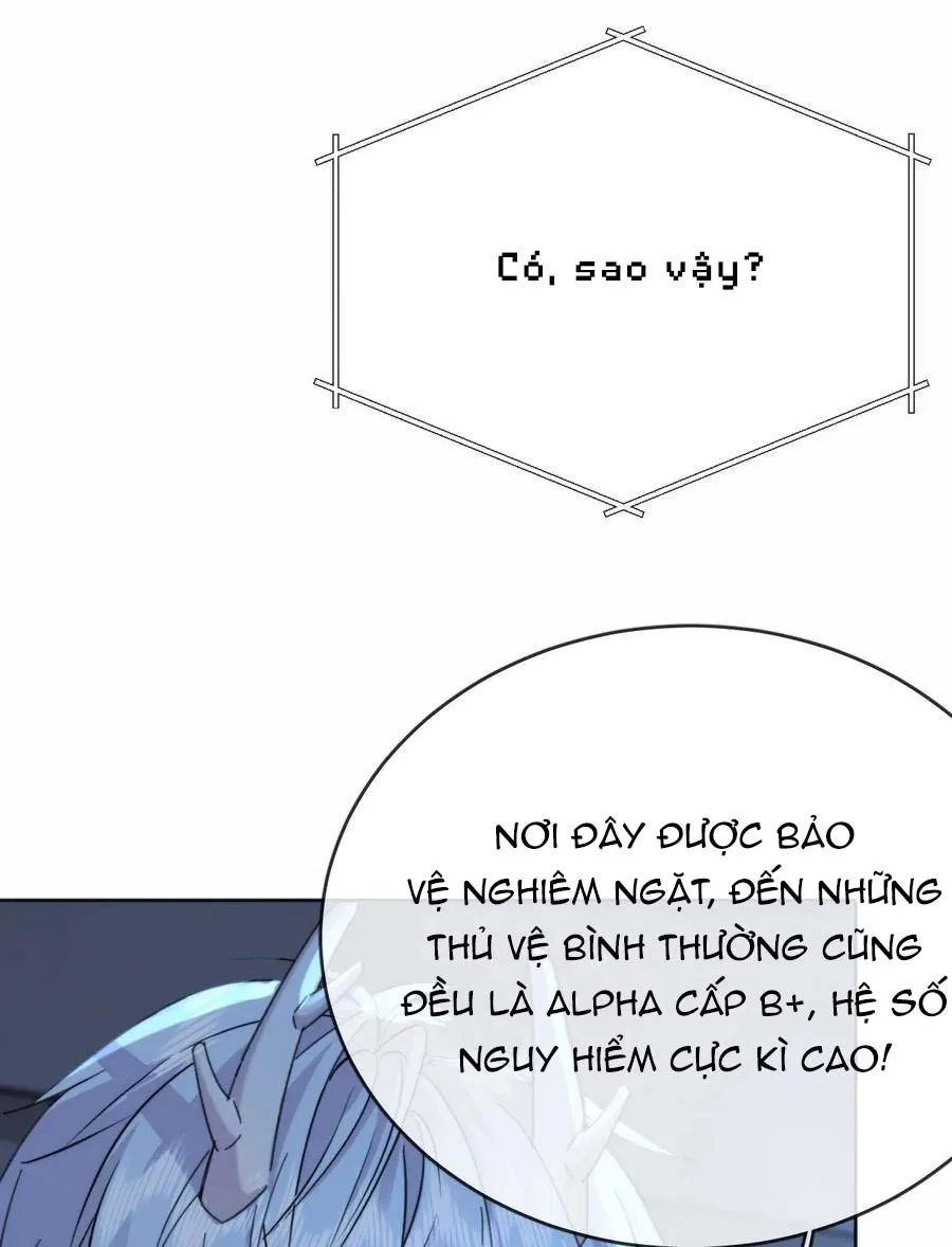 Giáo Huấn Em Trai Hư Hỏng Chapter 15 Trang 19