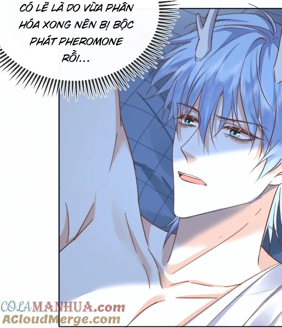 Giáo Huấn Em Trai Hư Hỏng Chapter 22 Trang 14