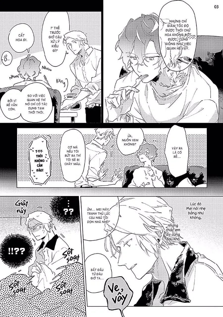 Nắng Phủ Cánh Hoa Lau HOÀN Chapter 2 Trang 3