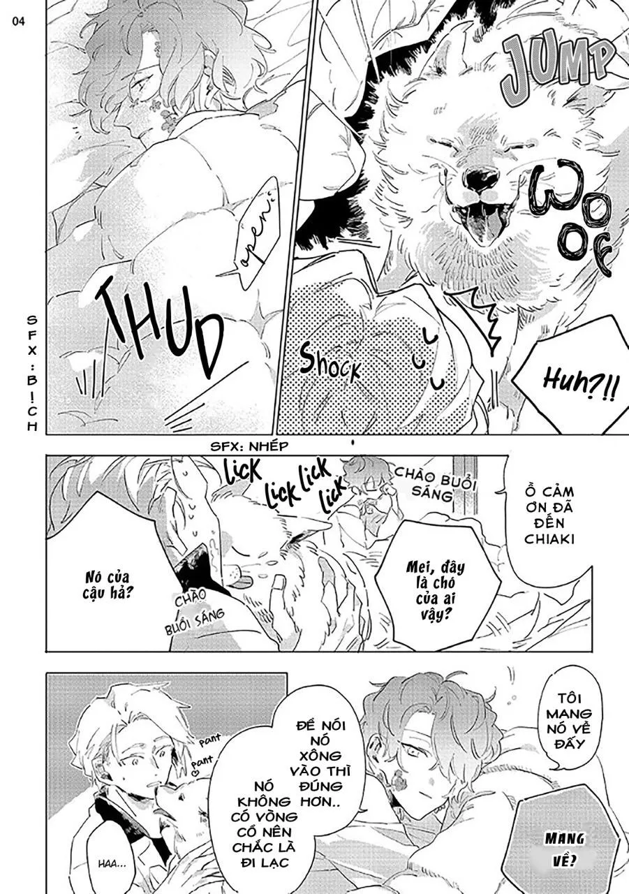 Nắng Phủ Cánh Hoa Lau HOÀN Chapter 2 Trang 4