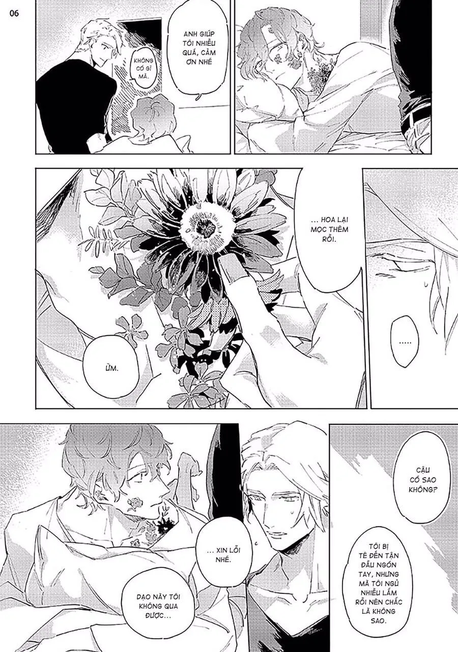 Nắng Phủ Cánh Hoa Lau HOÀN Chapter 2 Trang 6