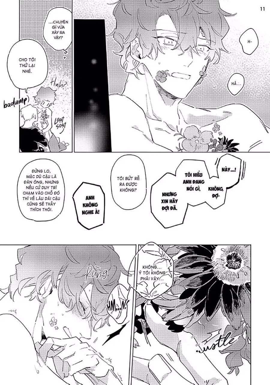 Nắng Phủ Cánh Hoa Lau HOÀN Chapter 2 Trang 11