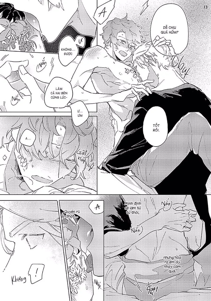 Nắng Phủ Cánh Hoa Lau HOÀN Chapter 2 Trang 13
