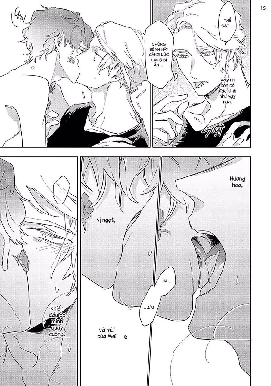 Nắng Phủ Cánh Hoa Lau HOÀN Chapter 2 Trang 15