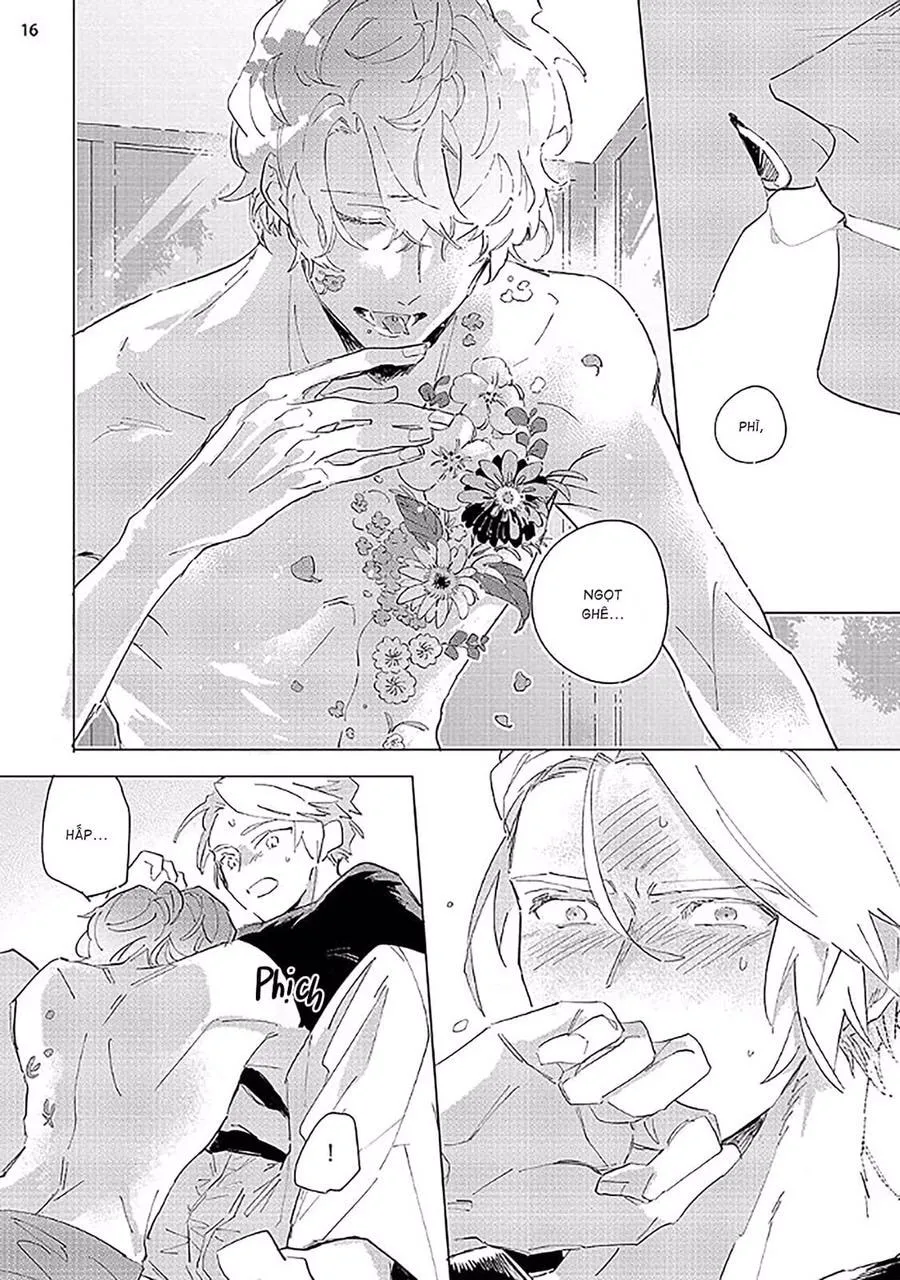 Nắng Phủ Cánh Hoa Lau HOÀN Chapter 2 Trang 16