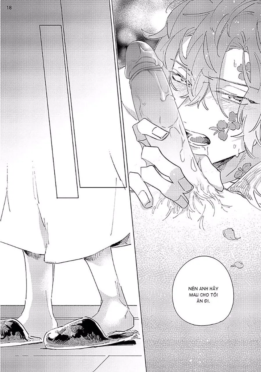 Nắng Phủ Cánh Hoa Lau HOÀN Chapter 2 Trang 18