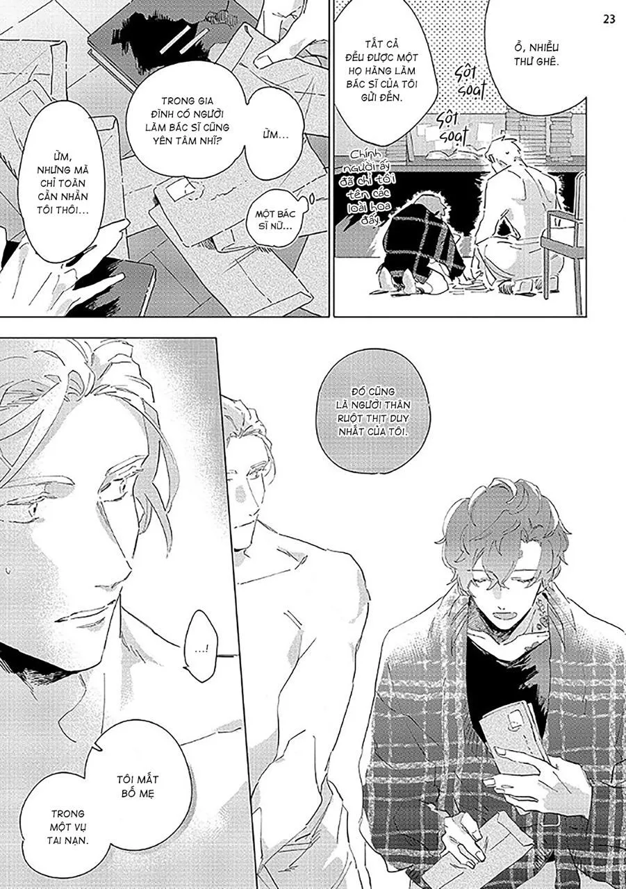 Nắng Phủ Cánh Hoa Lau HOÀN Chapter 2 Trang 23