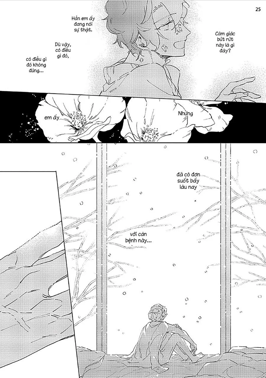 Nắng Phủ Cánh Hoa Lau HOÀN Chapter 2 Trang 25