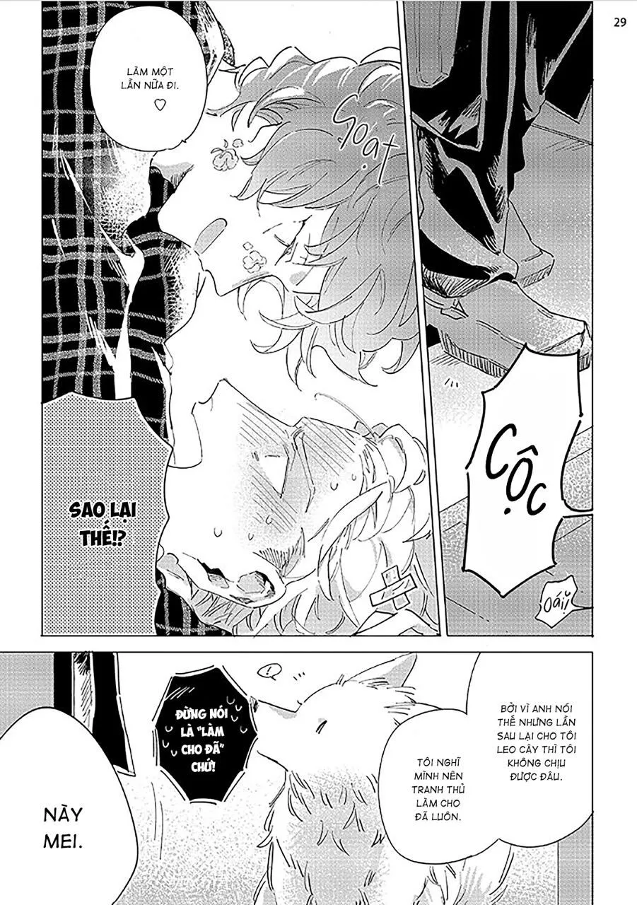 Nắng Phủ Cánh Hoa Lau HOÀN Chapter 2 Trang 29