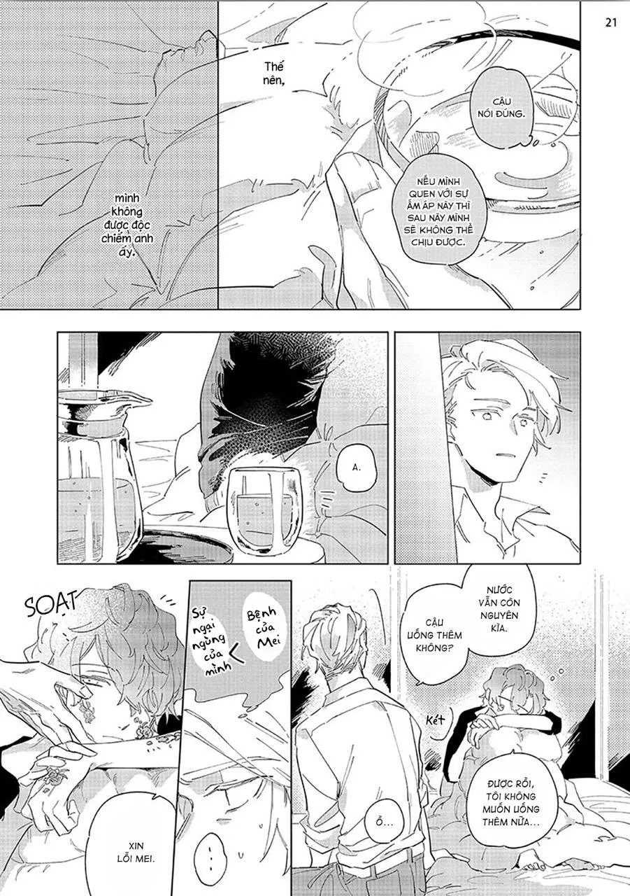 Nắng Phủ Cánh Hoa Lau HOÀN Chapter 3 Trang 21