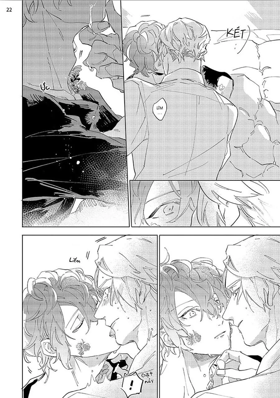Nắng Phủ Cánh Hoa Lau HOÀN Chapter 3 Trang 22
