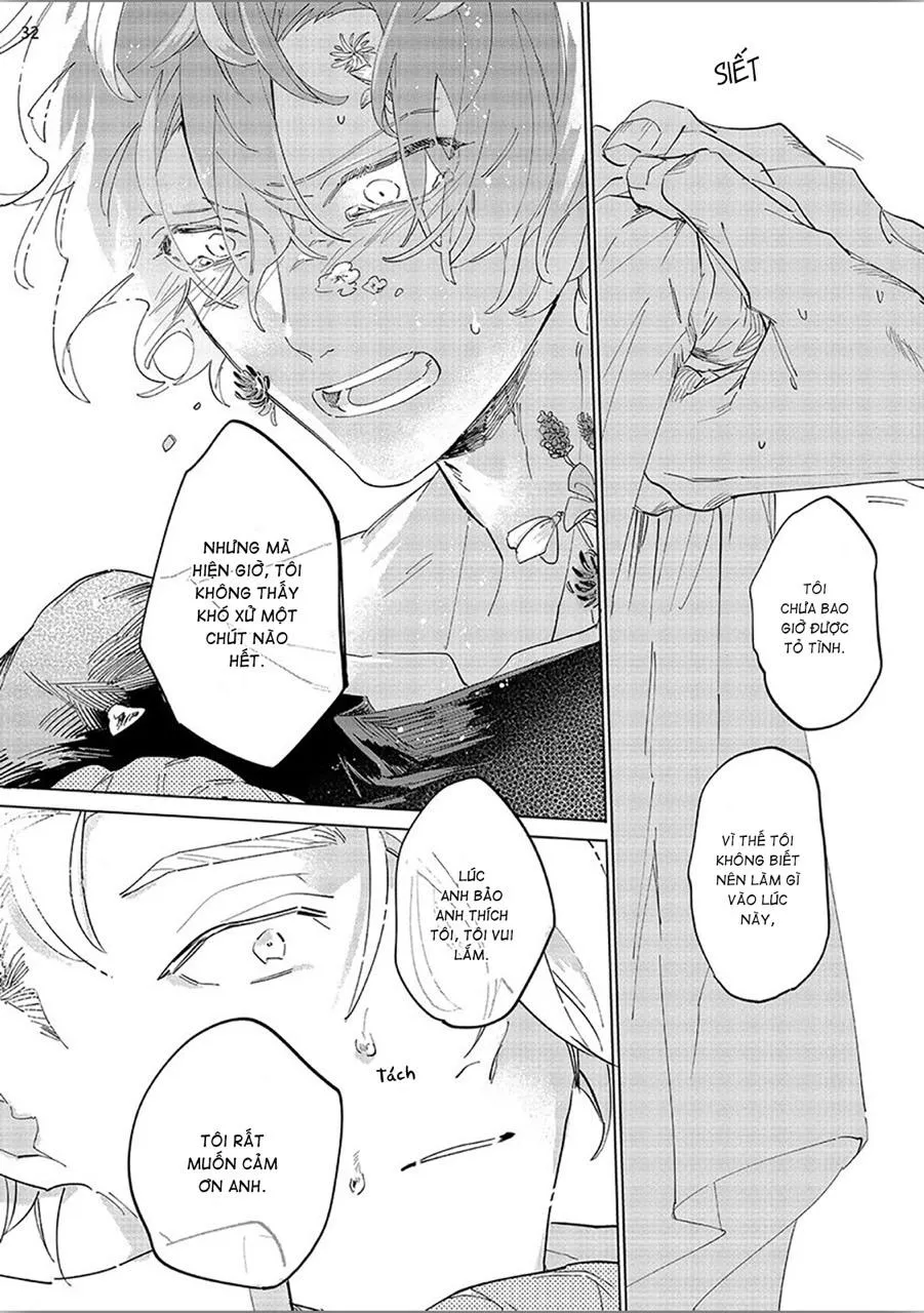 Nắng Phủ Cánh Hoa Lau HOÀN Chapter 3 Trang 32