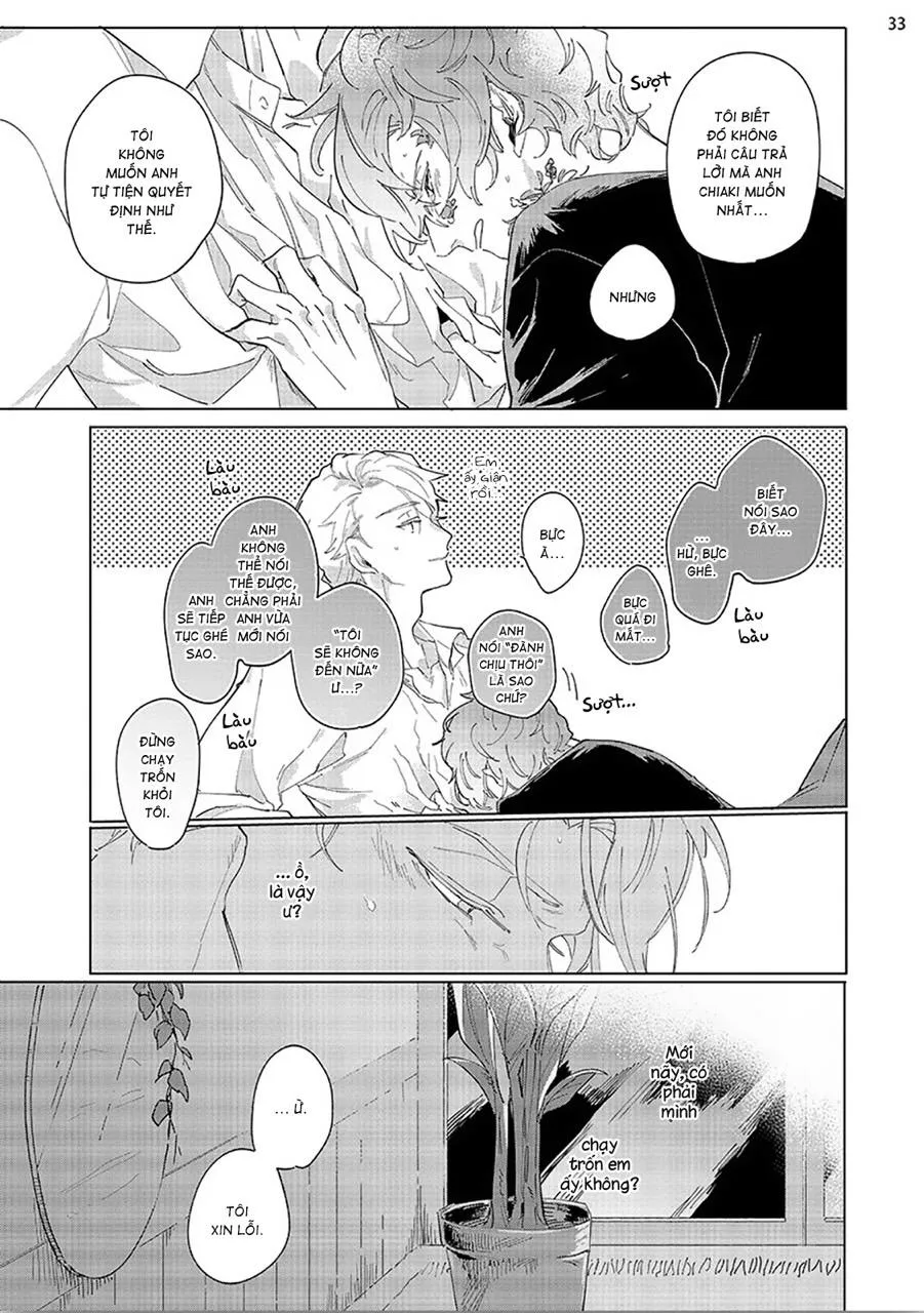 Nắng Phủ Cánh Hoa Lau HOÀN Chapter 3 Trang 33