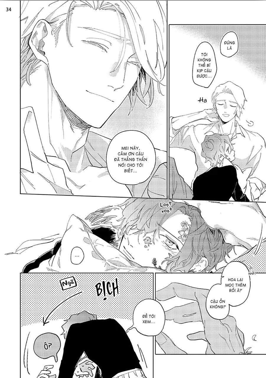 Nắng Phủ Cánh Hoa Lau HOÀN Chapter 3 Trang 34