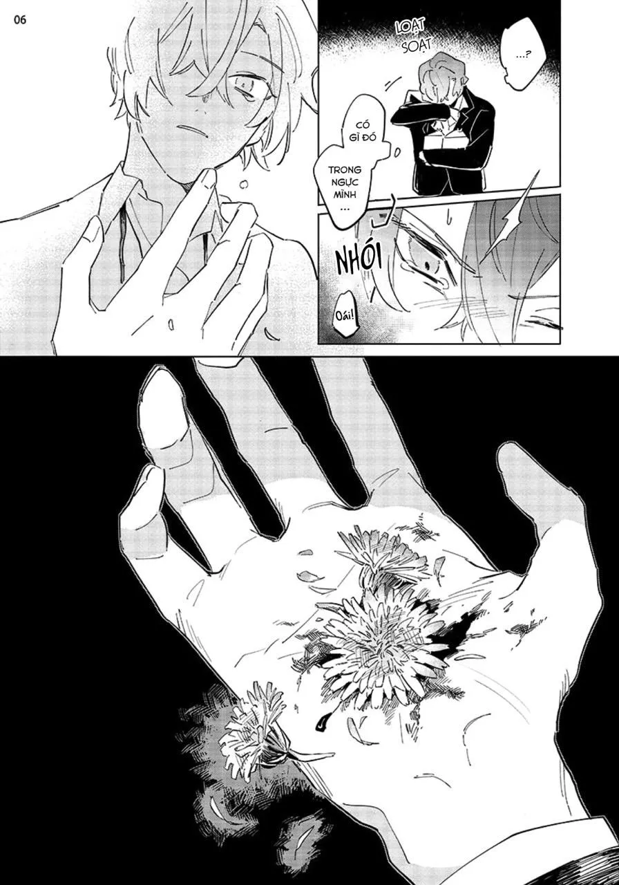 Nắng Phủ Cánh Hoa Lau HOÀN Chapter 4 Trang 6